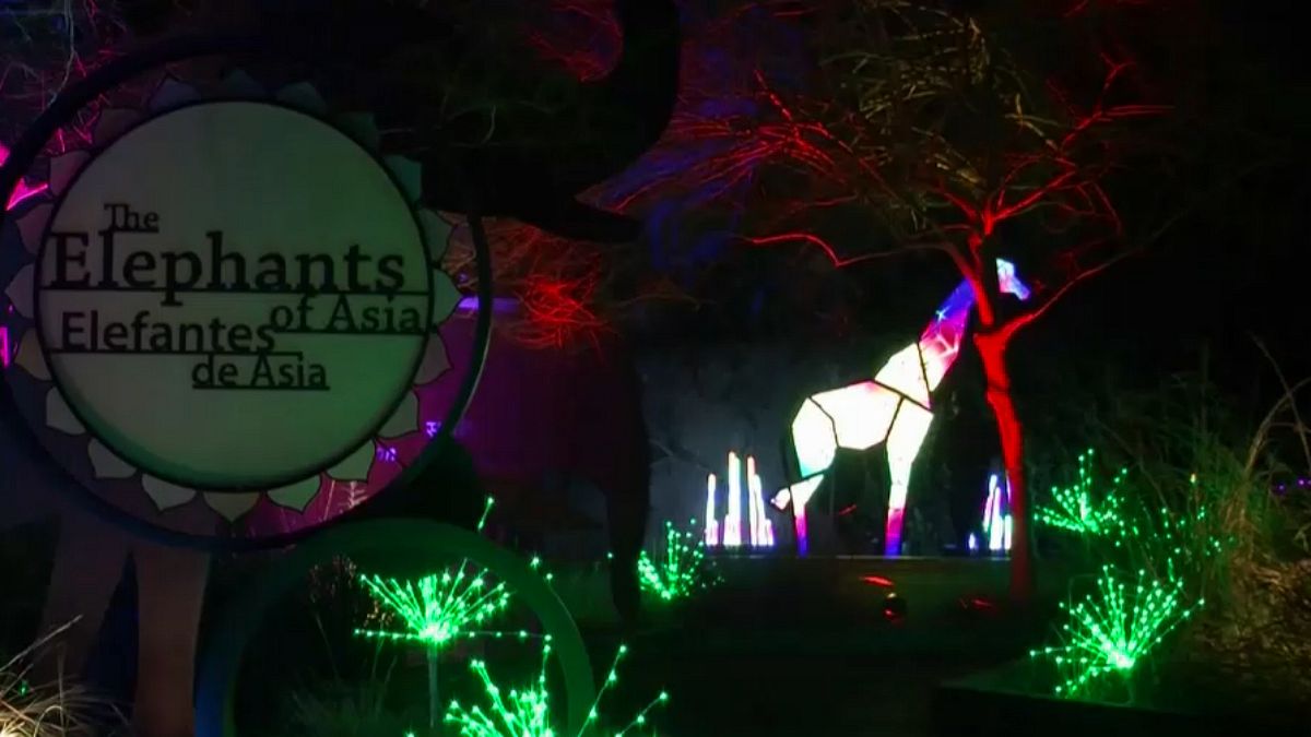 افتتاح سرزمین عجایب در باغ وحش لس‌آنجلس در آستانه کریسمس