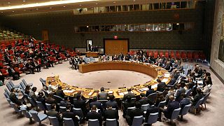 Almanya'dan Fransa'ya: BM Güvenlik Konseyi daimi temsilciliği hakkından vazgeç