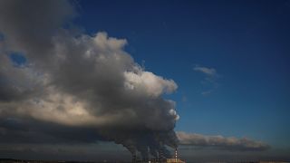 Smoke billows from Belchatow Power Station, Europe's largest coal plant