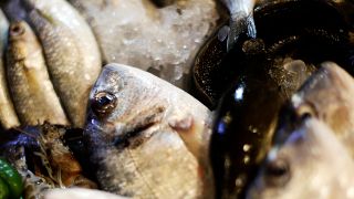 Harmadát esszük halból az európai átlagnak