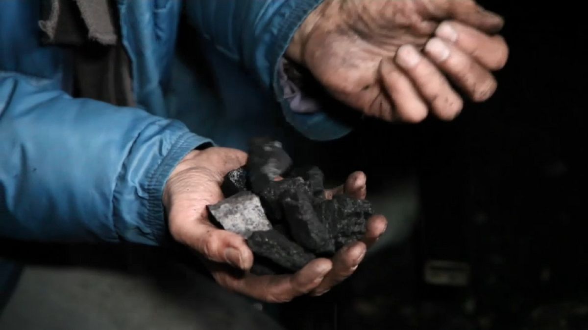 Carvão nosso de cada dia