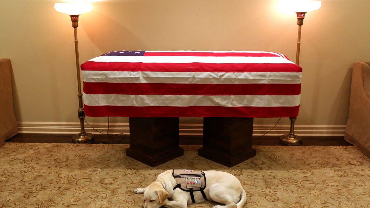 Η συγκινητική φωτογραφία με τον σκύλο του Τζορτζ Μπους