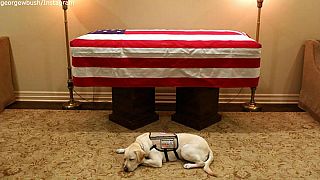 Utolsó útjára is gazdájával tart Bush elnök kutyája