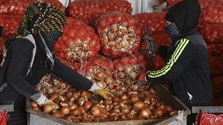 Kuru soğanın önlenemez yükselişi: Fiyatlar Kasım’da yüzde 51 arttı