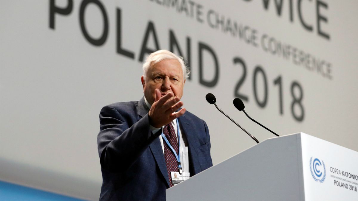 Sir David Attenborough warns of 'collapse of civilisations' at COP24 summit