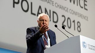 Sir David Attenborough warns of 'collapse of civilisations' at COP24 summit