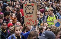 Экологи призывают к активным действиям