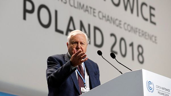 Civilizációnk összeomlására figyelmeztet Attenborough Civilizációnk összeomlására figyelmeztet Attenborough