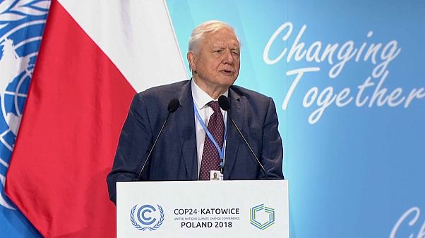 Weltklimakonferenz: Naturforscher Sir David Attenborough findet deutliche Worte Weltklimakonferenz: Naturforscher Sir David Attenborough findet deutliche Worte