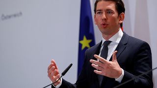 Austria's Chancellor Sebastian Kurz has called for a tax on tech giants