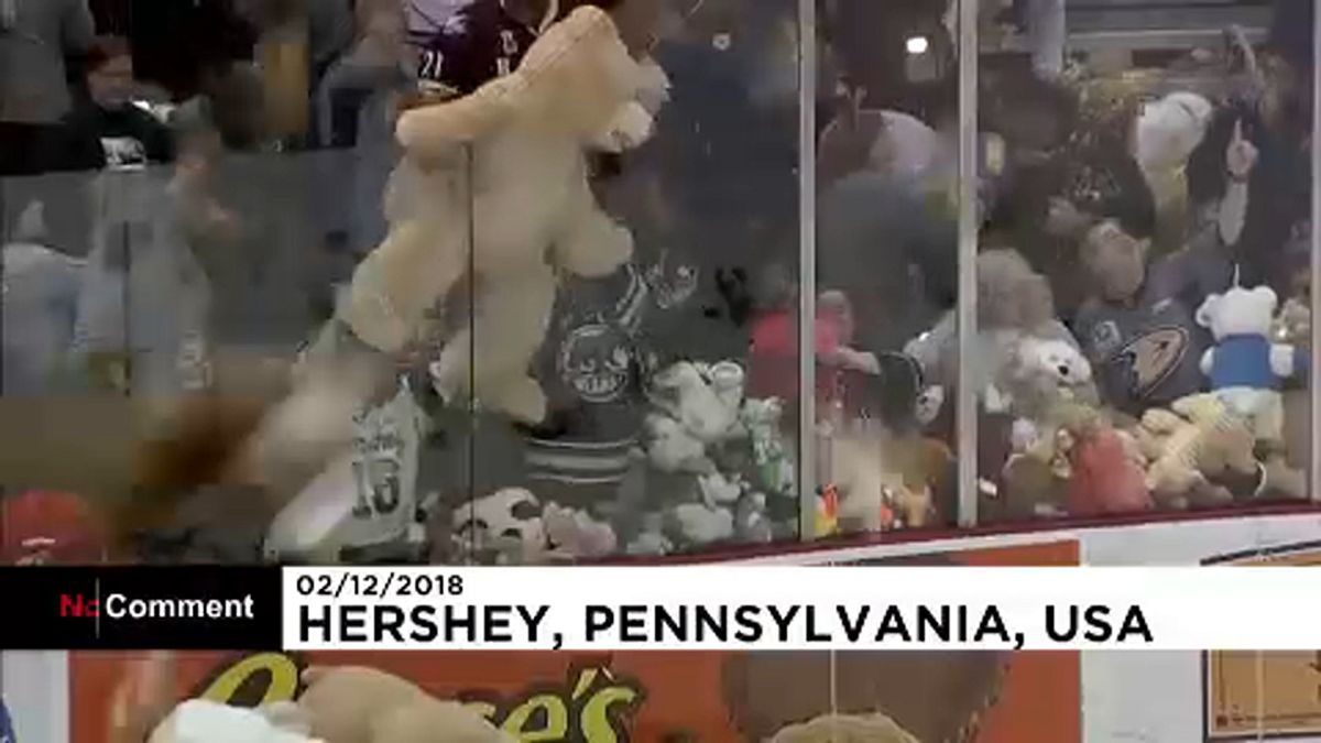 ABD'de buz hokeyi maçında sahaya rekor sayıda oyuncak ayı yağdı