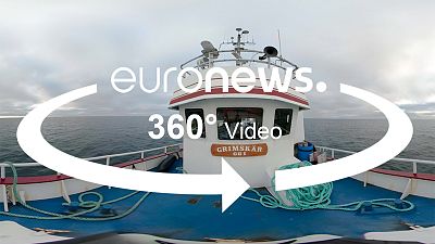 Fish stocks “much better” than twenty years ago Fish stocks “much better” than twenty years ago