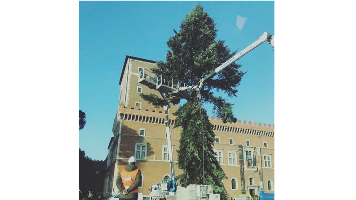 Is Rome on course for 'world's ugliest Christmas tree' for second consecutive year?