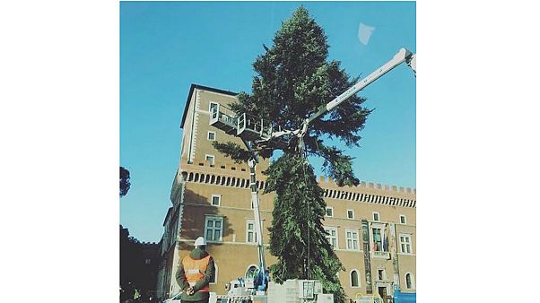 Is Rome on course for 'world's ugliest Christmas tree' for second consecutive year? Is Rome on course for 'world's ugliest Christmas tree' for second consecutive year?
