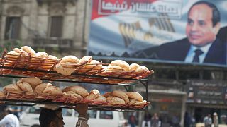 مصر تسعى لشراء كمية غير محددة من القمح في يناير
