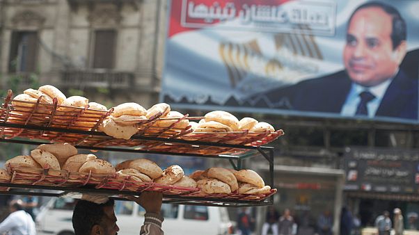 مصر تسعى لشراء كمية غير محددة من القمح في يناير مصر تسعى لشراء كمية غير محددة من القمح في يناير