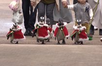Video | Penguenler hayvanat bahçesini Noel Baba kostümleriyle dolaştı