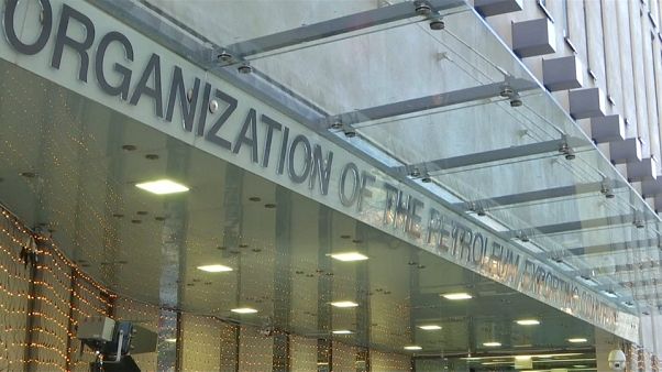 OPEC, petrol üretimini Rusya’nın vereceği katkıya göre düşürecek OPEC, petrol üretimini Rusya’nın vereceği katkıya göre düşürecek