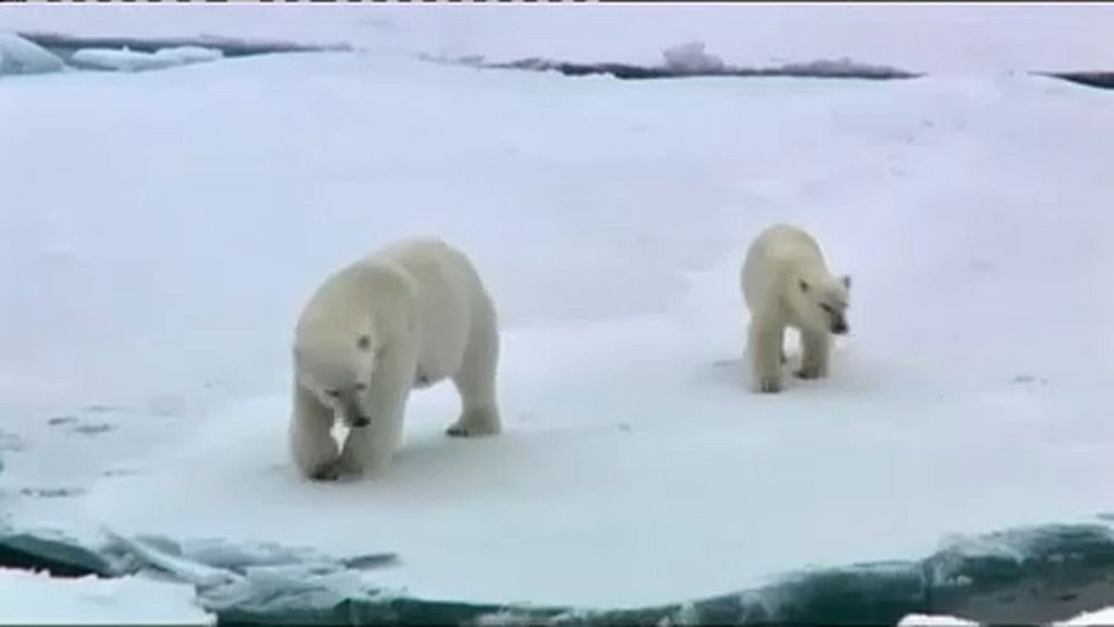 Вкратце из Брюсселя: ЕС и COP24. Суд о "брексите". Опасные ...