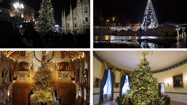 Jetzt abstimmen: In welcher Stadt steht der schönste Weihnachtsbaum? Jetzt abstimmen: In welcher Stadt steht der schönste Weihnachtsbaum?