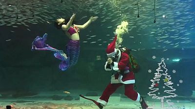 شاهد: سانتا كلوز يقدم عرضا في حوض مائي في سيول