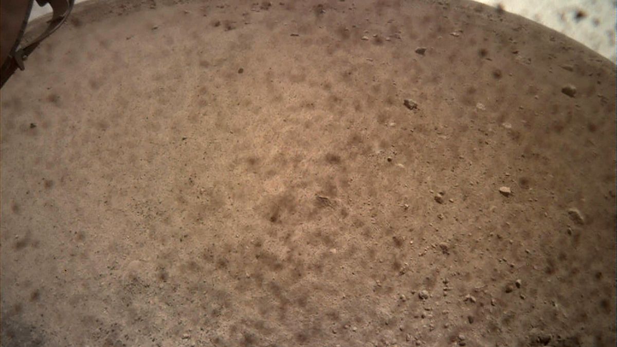 Mars image from the Insight lander