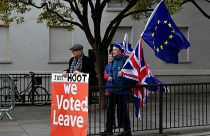 Pro-Brexit and anti-Brexit protesters hold posters and flags in Whitehall