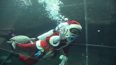 شاهد: سانتا كلوز غواص يجذب انتباه زوار حوض أسماك في اليابان