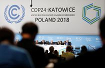 Participants take part in the plenary session during COP24