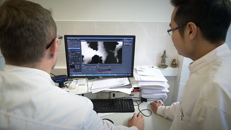 الجامعات الروسية تستقبل سنوياً 300 ألف طالب أجنبي سنوياً وتسعى لتكون الأفضل عالمياً