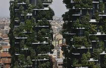 فيديو: "الغابات العمودية".. سبيل ميلانو للقضاء على التلوث