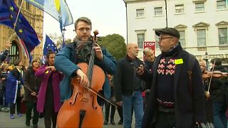 Pro und Contra Brexit: Demonstrationen in Großbritannien