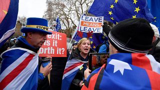 Brexit karşıtları ile yandaşları May'i protesto etti