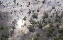 Οικολογική καταστροφή στο Ρίο μετά από διάρρηξη σε αγωγό πετρελαίου