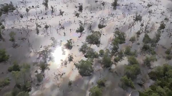 Οικολογική καταστροφή στο Ρίο μετά από διάρρηξη σε αγωγό πετρελαίου Οικολογική καταστροφή στο Ρίο μετά από διάρρηξη σε αγωγό πετρελαίου