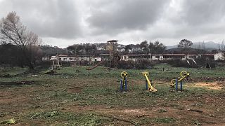 Meses después del incendio en Grecia, las heridas siguen abiertas