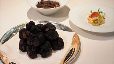Climate change could kill off black truffles