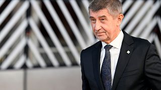 MEPs demand block on funds to companies linked to Czech PM