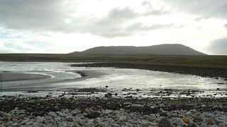 Ever dreamed of owning an island with five different species of penguins?