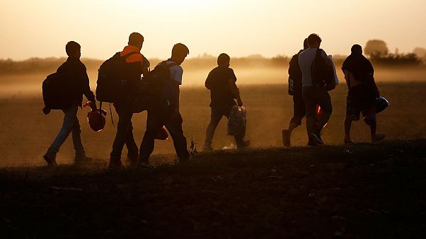 Göçmenler en çok Amerika'ya gitmek istiyor Göçmenler en çok Amerika'ya gitmek istiyor