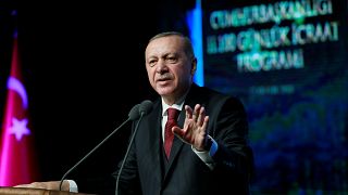 Ερντογάν: Καθ' οδόν για την Τουρκία το νέο γεωτρύπανο