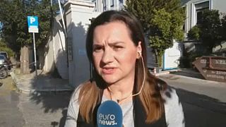 Dimite el ministro griego de Protección Ciudadana por los incendios de Mati