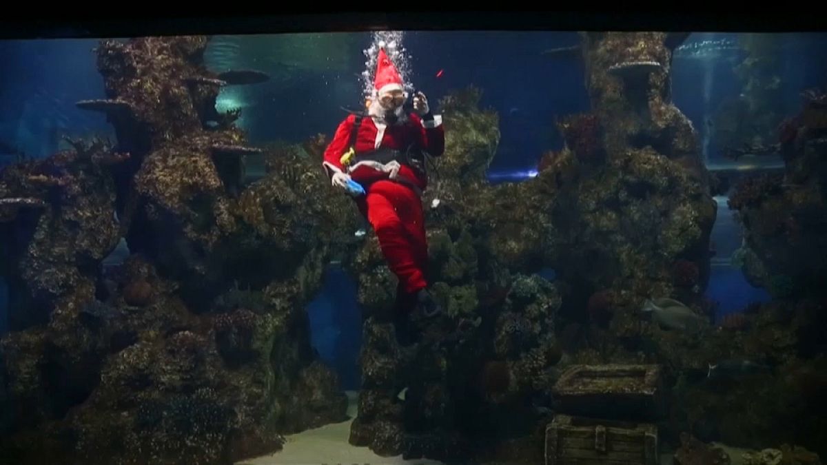 Santa goes all scuba in Malta