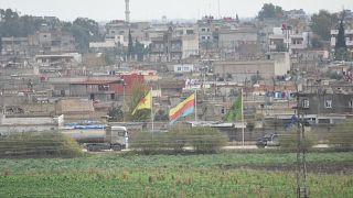 YPG'ye katılmaktan ceza alan İngiliz vatandaşı Türkiye'den kaçtı