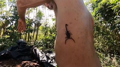 Mérgezi magát a skorpióvadász