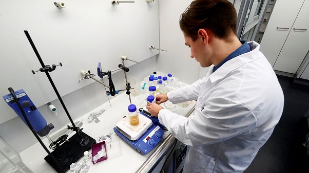 Akraba evliliklerine bağlı hastalıklarda 4 anahtar gen tespiti Akraba evliliklerine bağlı hastalıklarda 4 anahtar gen tespiti