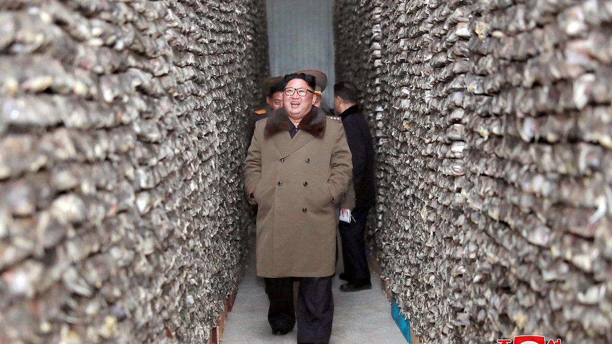 کره شمالی: تحریم‌های حقوق بشری آمریکا راه خلع سلاح هسته‌ای شبه جزیره کره را می‌بندد