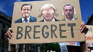 İkinci Brexit referandumu belirsizliği çözer mi arttırır mı?