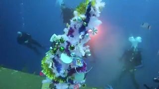 Cipro: l'albero di Natale subacqueo