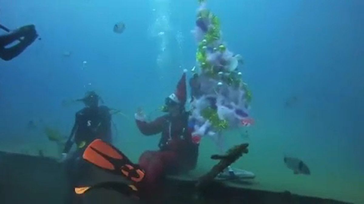 Karácsonyfa a tenger mélyén